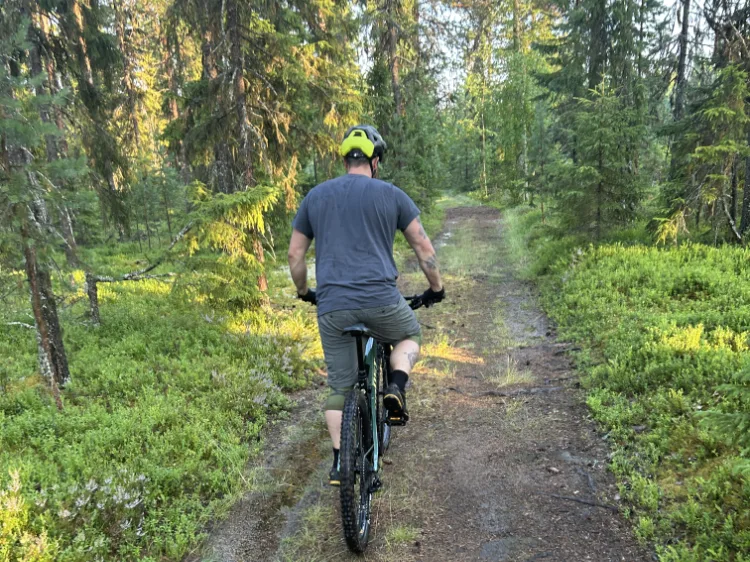 Cykling efter en stig i skogen, det är sommar och grönt.