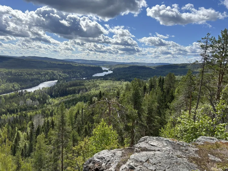 Vy över landskap från ett berhoch en älv som rinner igenom landskapet.